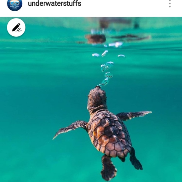 Meet your Posher, Stephanie - Picture 1 of 1